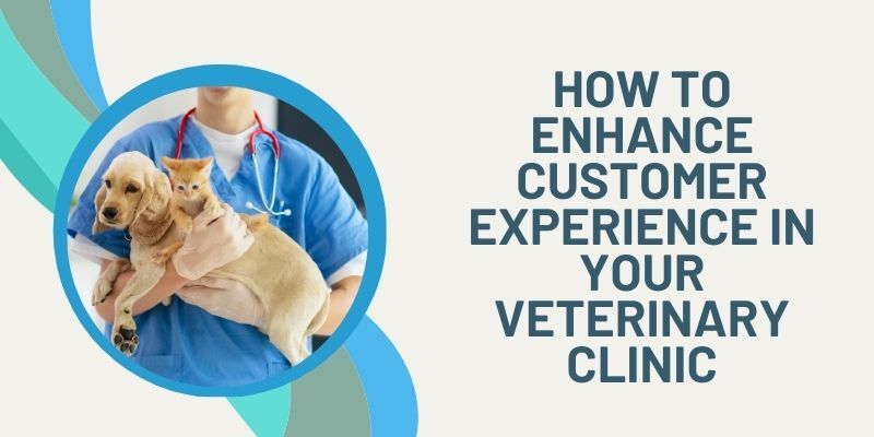 How-to-enhance-customer-experience-in-veterinary-clinic