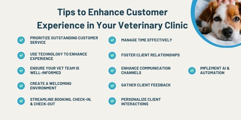 tips-to-enhance-customer-experience-in-your-veterinary-clinic